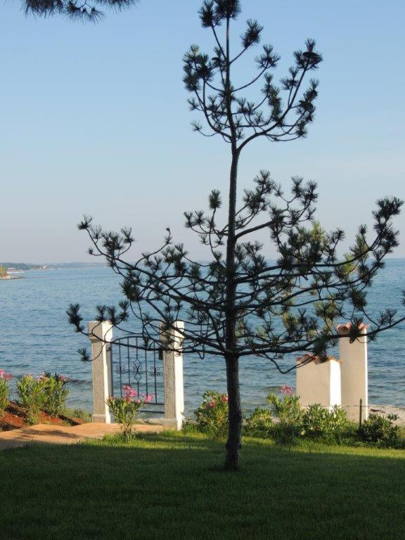 Apartments Erica Luxury Novigrad Istria Exterior foto